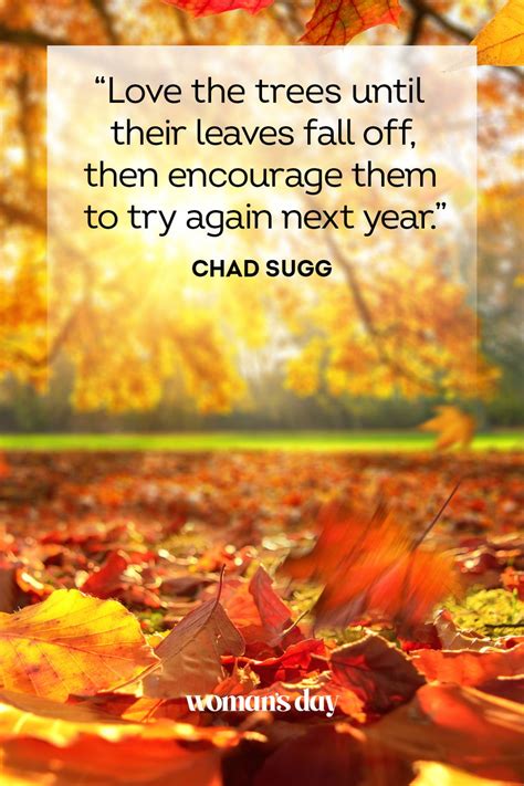 autumn of life quotes|inspirational quotes about autumn.